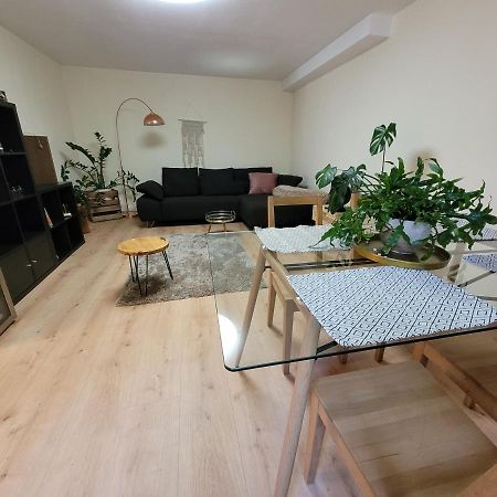 Ferienwohnung Riesling Bobenheim am Berg エクステリア 写真