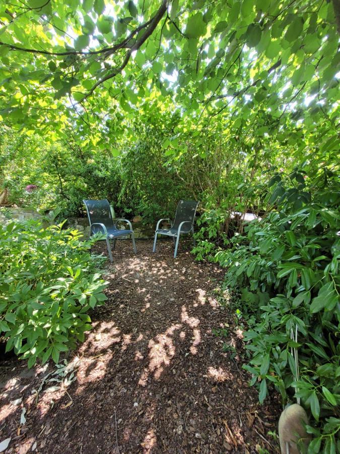 Ferienwohnung Riesling Bobenheim am Berg エクステリア 写真