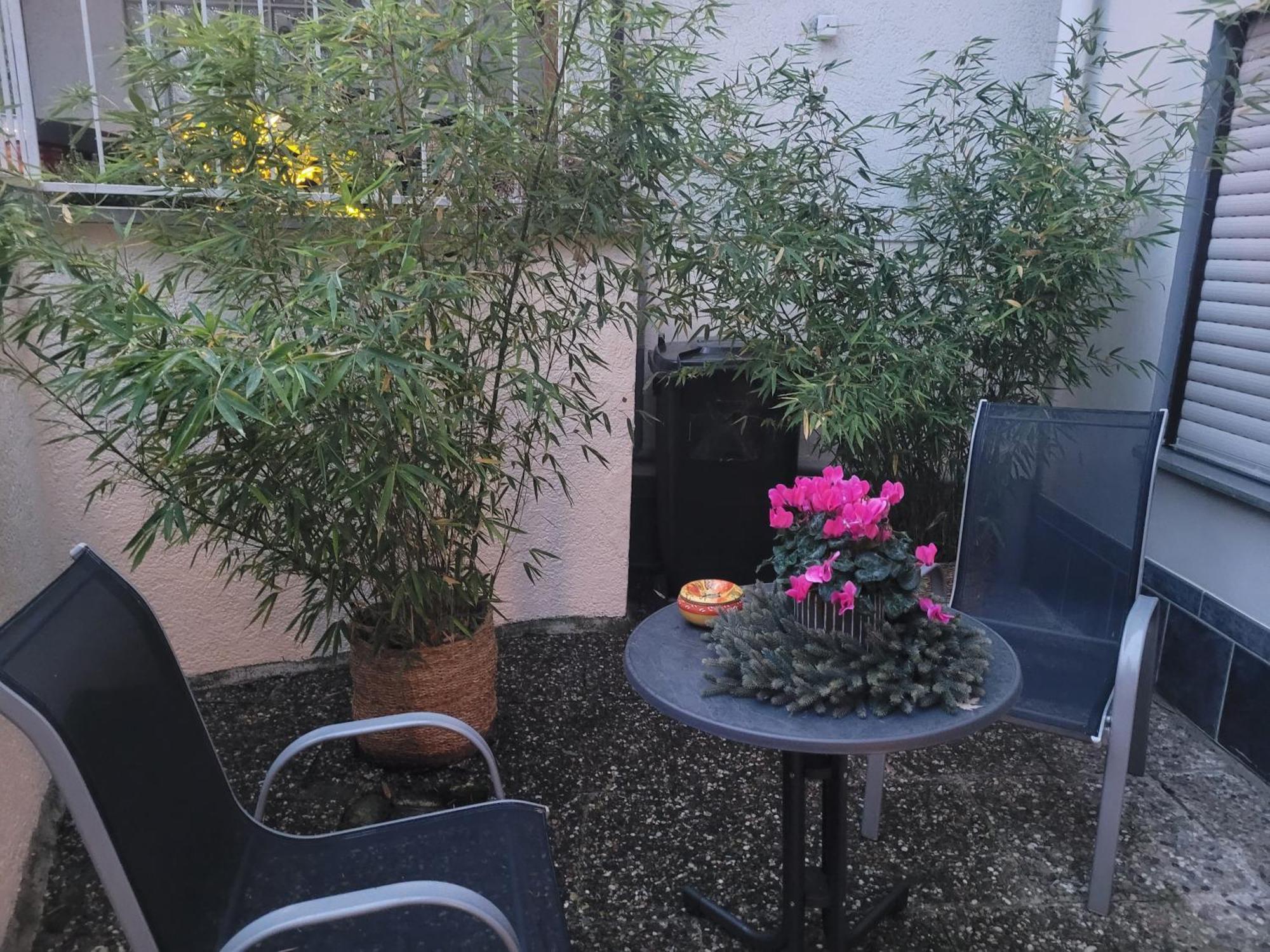 Ferienwohnung Riesling Bobenheim am Berg エクステリア 写真
